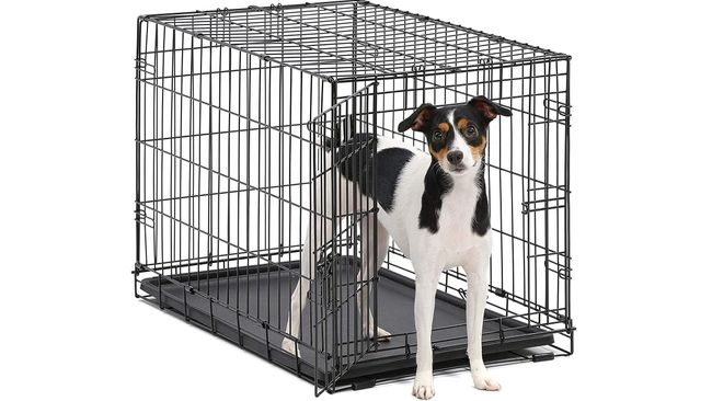 Best Dog Crates 2024 For Keeping Your Pooch Safe | PetsRadar