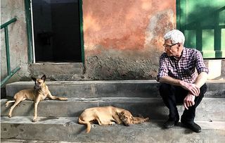 Paul O’Grady: I nearly died making Pictured Paul O'Grady in India. For the Love of Dogs: India