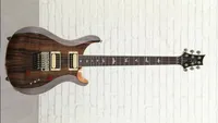 PRS SE Custom 24 Floyd Sweetwater Exclusive - Natural Rosewood with Rosewood Fingerboard