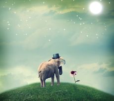 Surrealistic elephant with a hat staring at a flower.