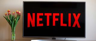 The Netflix logo is on a TV that sits to the right of a vase of flowers