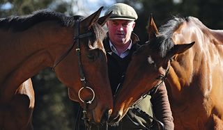 cheltenham festival 2017