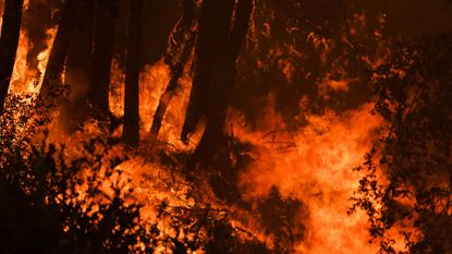A wildfire grows near a home on Twilight Lane in Santa Cruz, California, on Aug. 19, 2020.