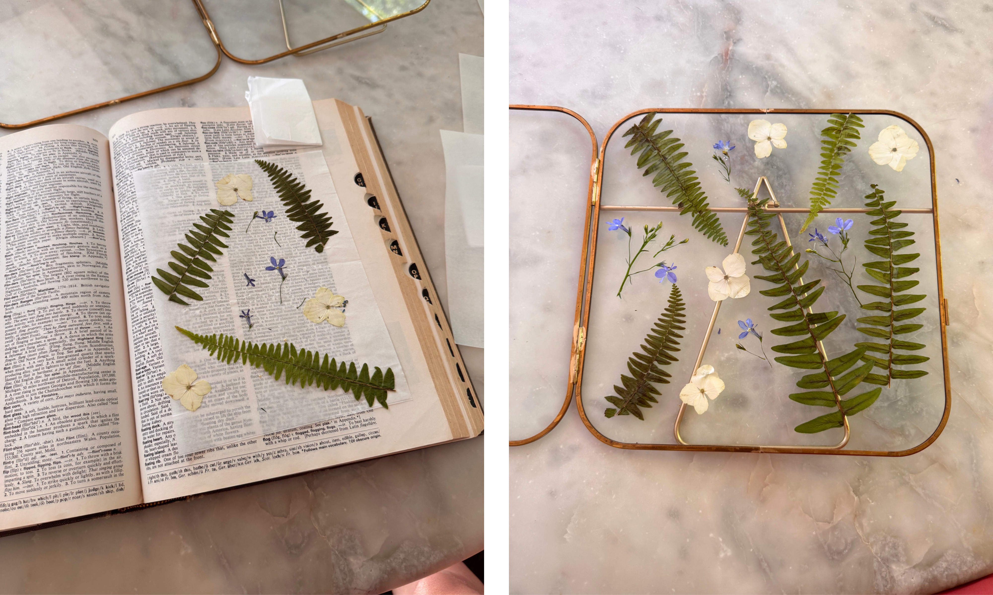 pressed flowers in a book