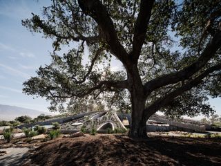 hill house montecito, flowing concrete house in the californian context with arid landscape and a tree around