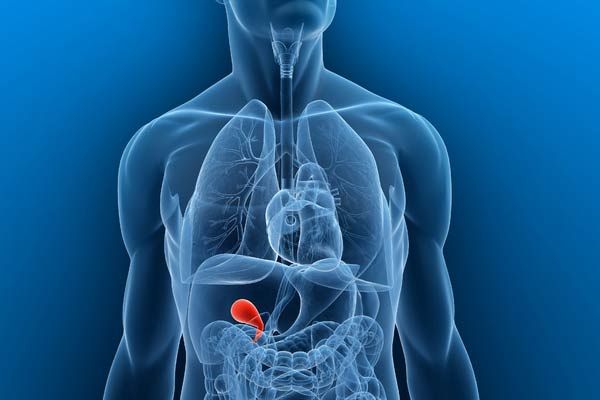 gallbladder-function-problems-healthy-diet-live-science