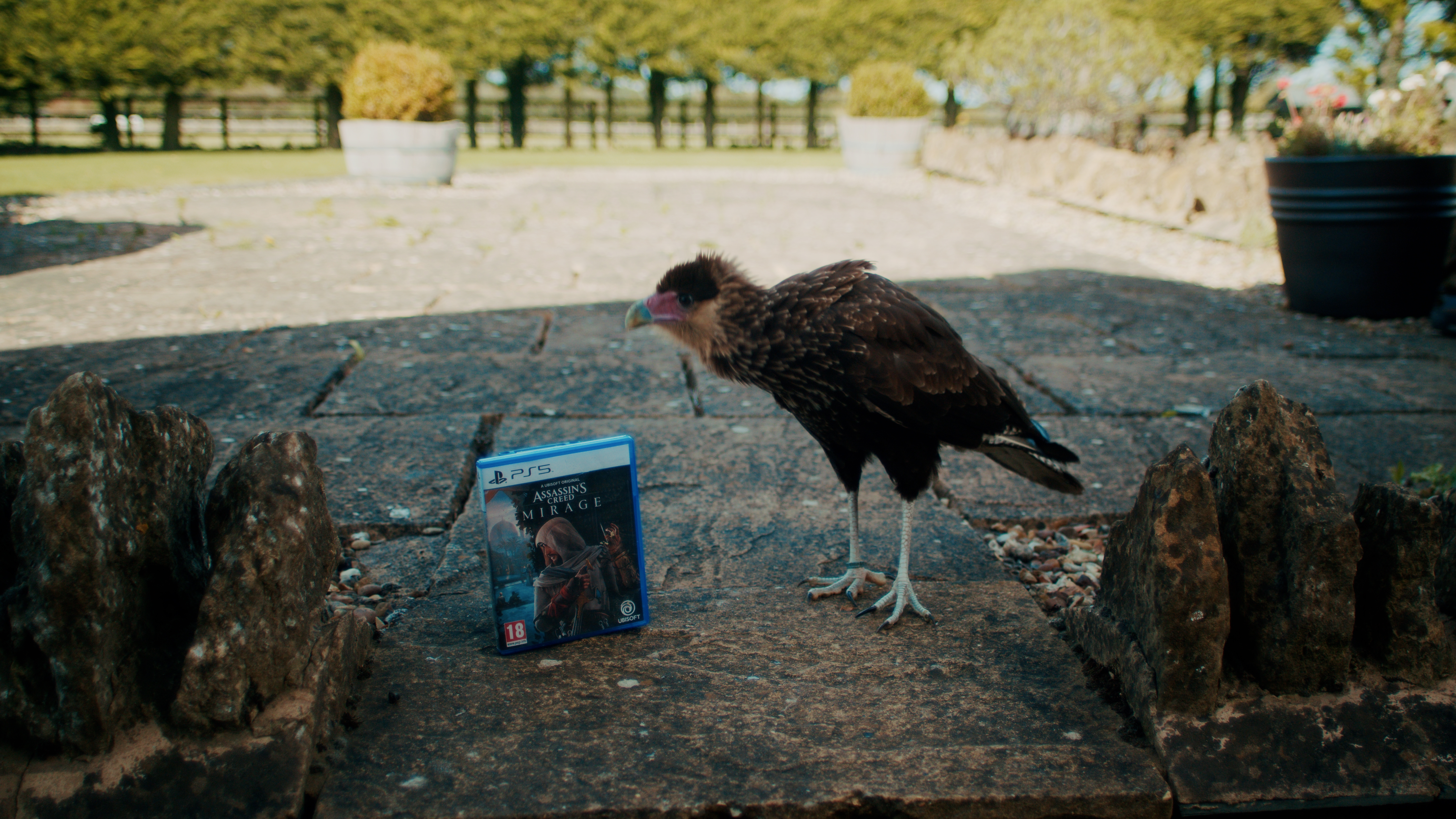 A man with a bird holding a copy of Assassin's Creed.