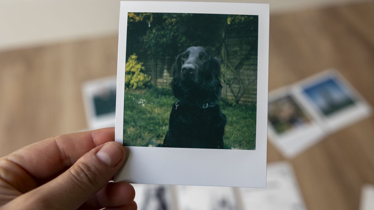 Test shots using the Polaroid Flip