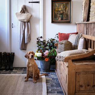 Labrador on rug in rustic utility room