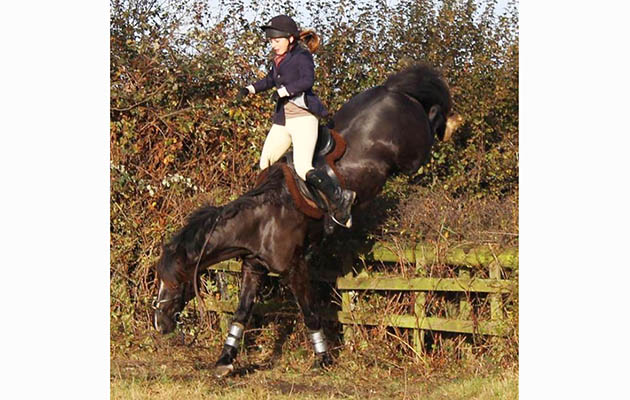 &ldquo;This is my Welsh section D six-year-old, Sunny, out with the Readyfeild Bloodhounds. We got too close to a hedge and almost fell, but even with no hands (or reins) we made a recovery and stayed in the saddle!&rdquo; &mdash; Tabitha Smith