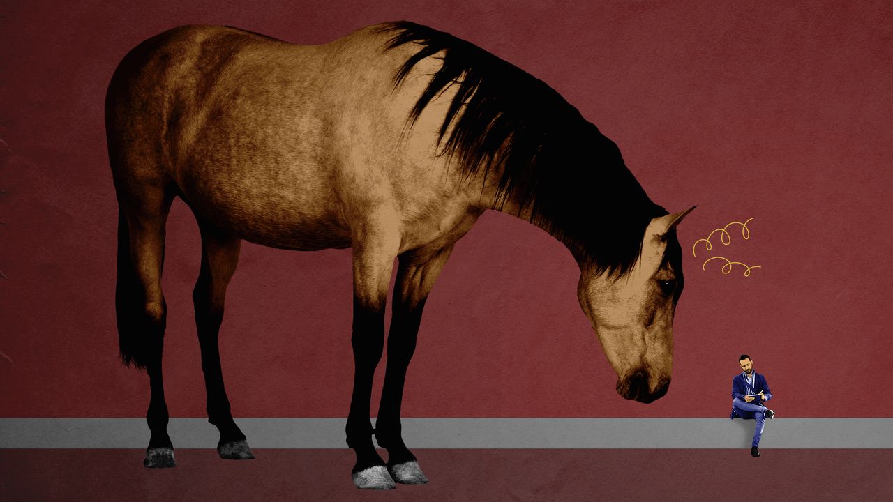 A horse.