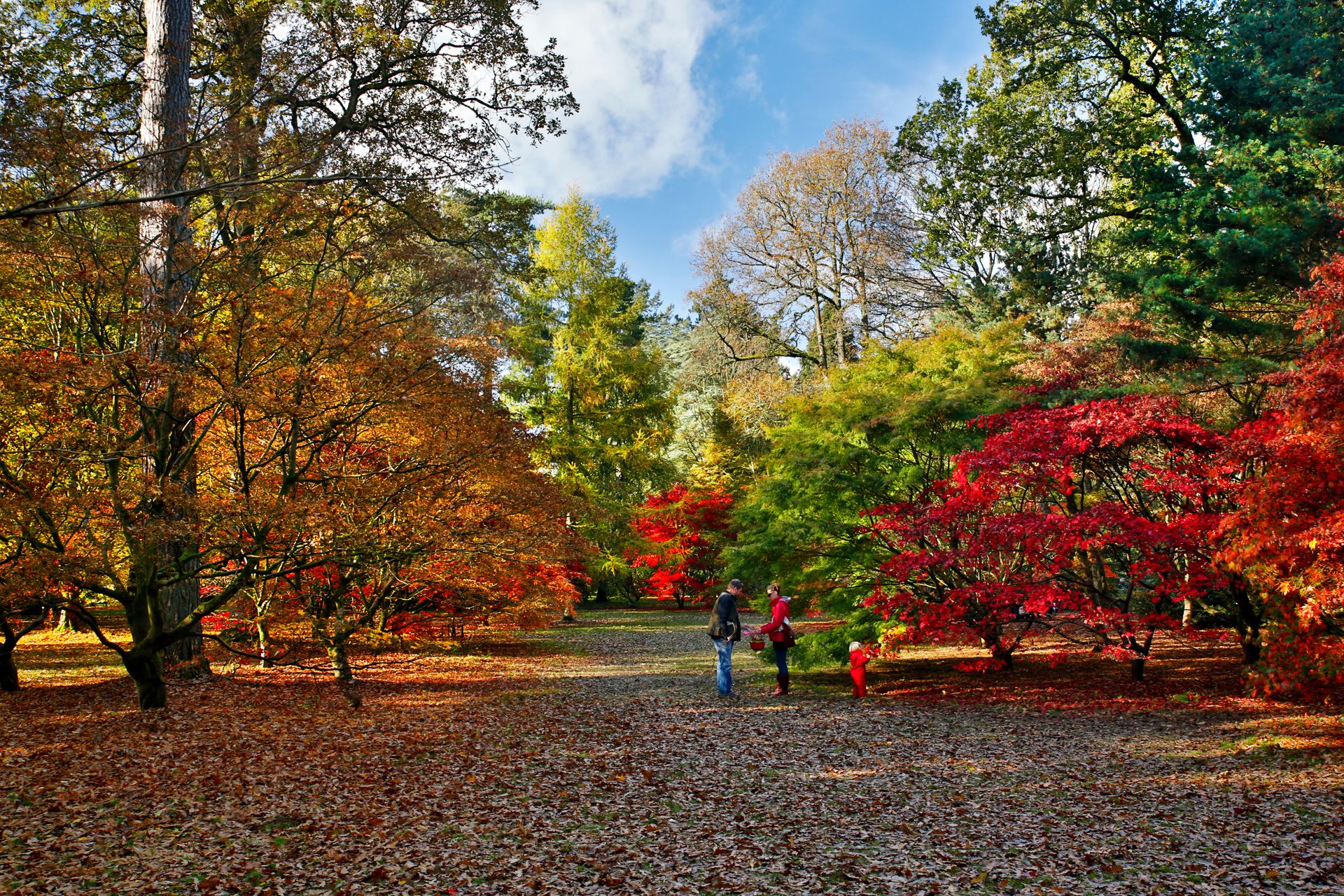 Free National Trust tickets are a thing here’s how to get your hands