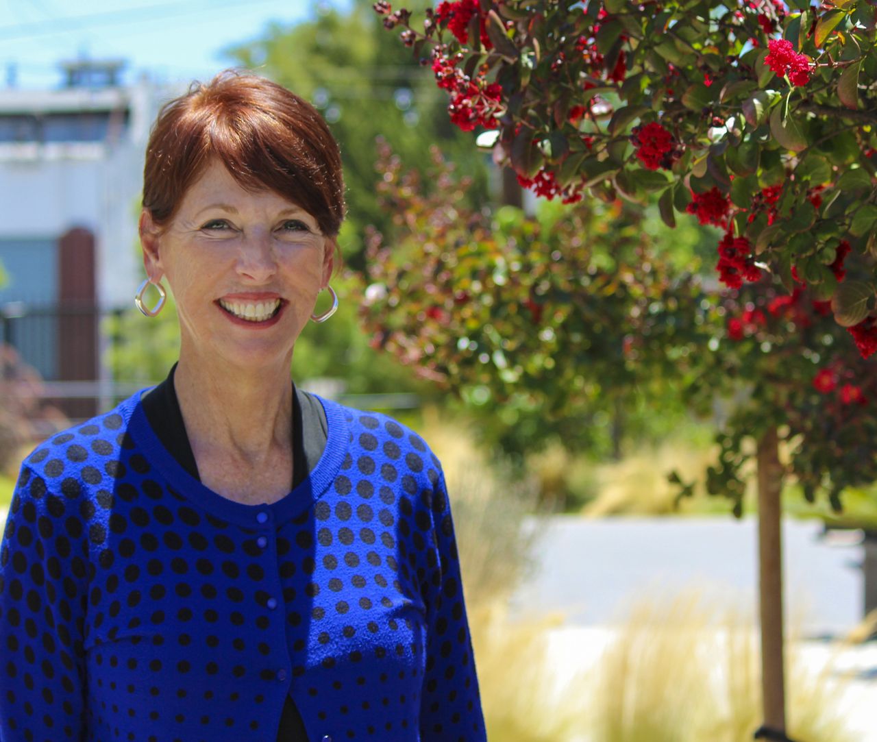 Lisa Perrine, Cibola Systems