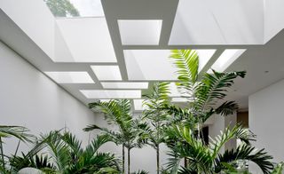 Grecia House, Tropical Modernism