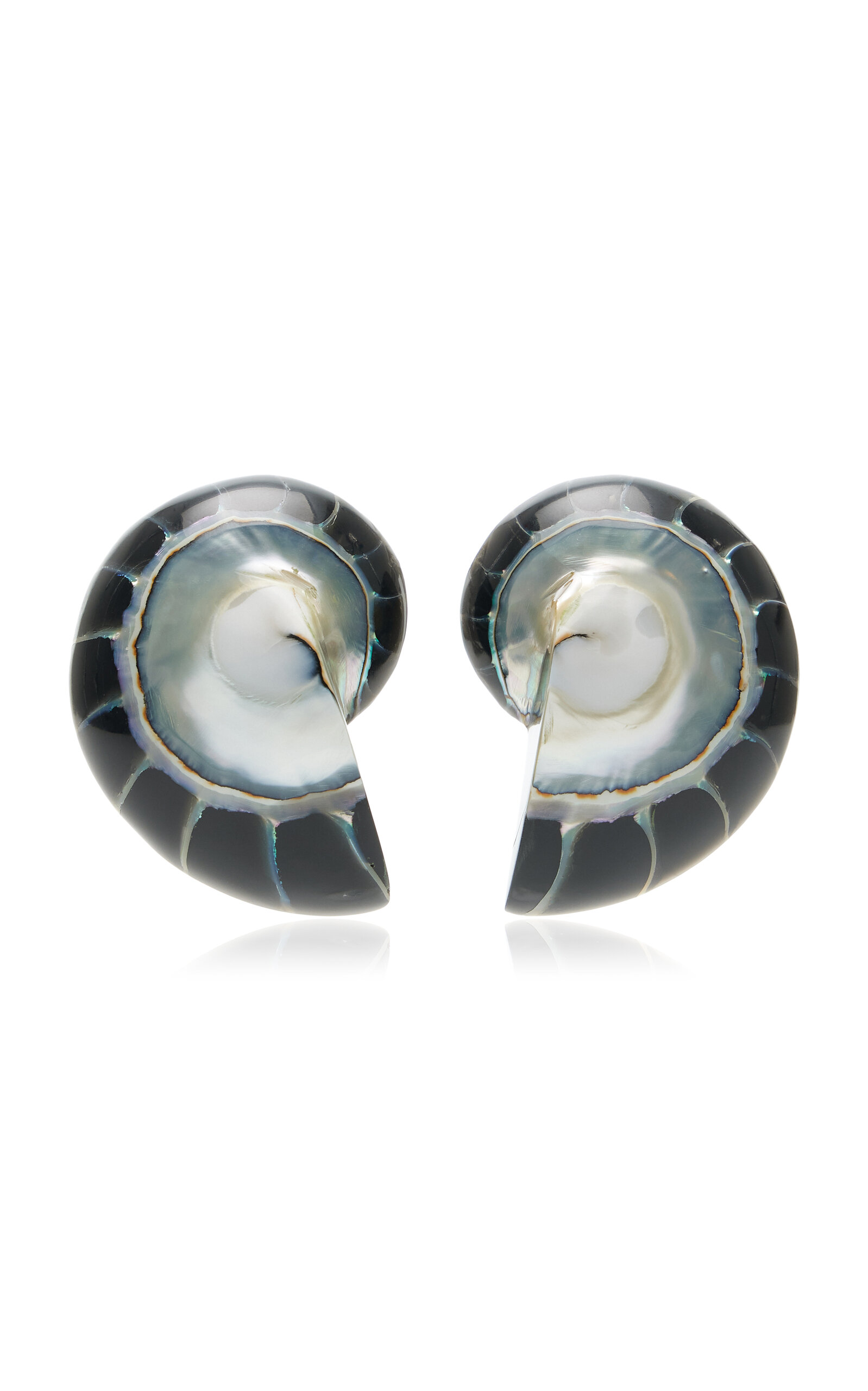 Nautilus Shell Earrings