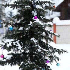 Ornaments on an outdoor Christmas tree