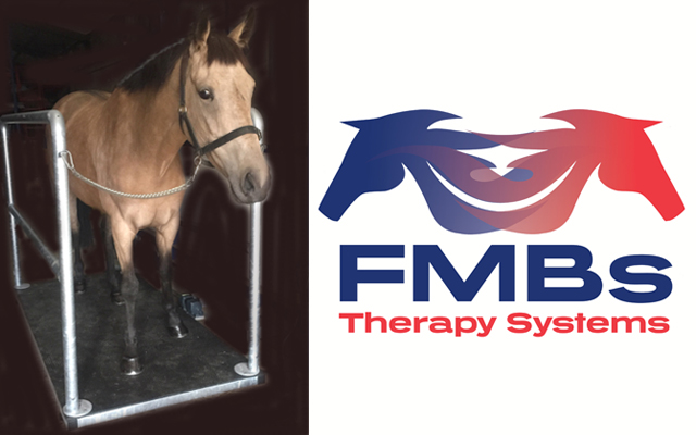 FMB-Therapy-Systems