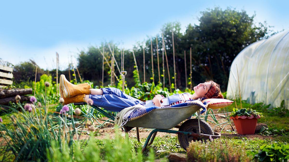 10 Time-Saving Garden Cheats to Make Life Easier in This Crazy Heat