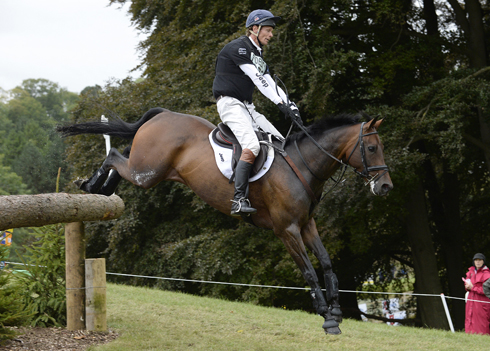 William Fox-Pitt riding Fernhill Pimms in the CIC during the Cross Country phase of The Fidelity Blenheim Palace International Horse Trials, near Woodstock in the UK on 15 September 2013