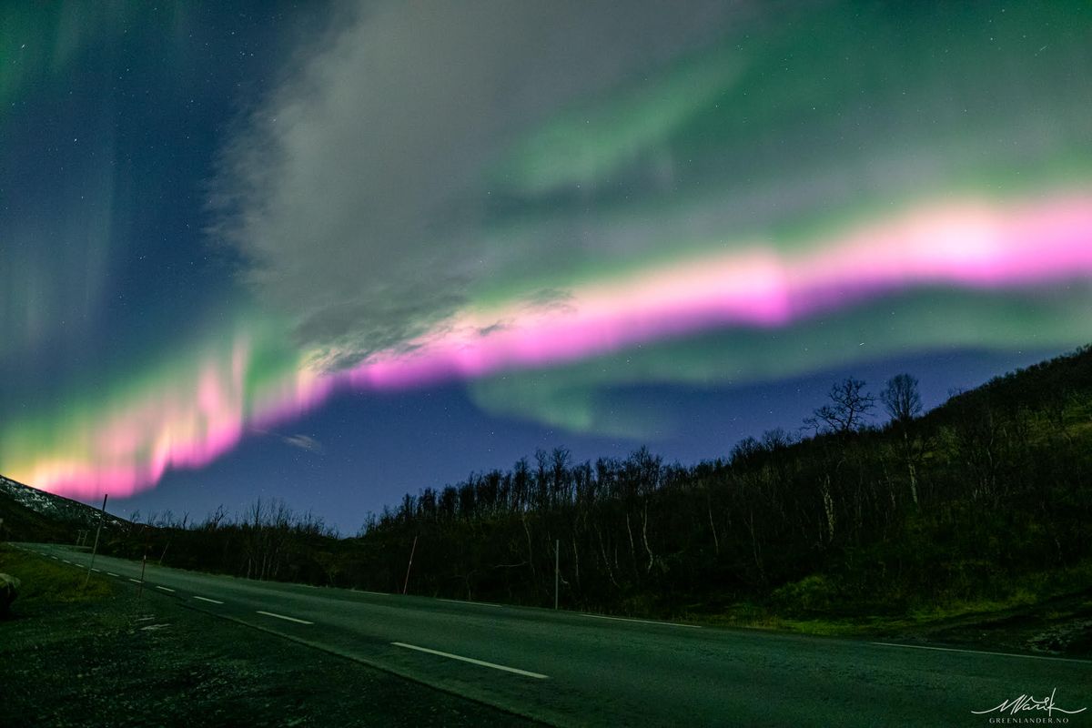 Pink and green auroras shone in the sky together.