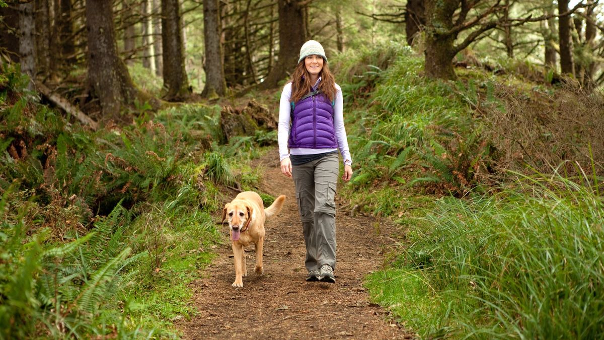 Woman walking with her dog in the forest