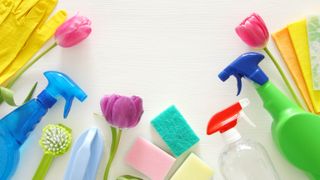 Spring cleaning tools with tulips