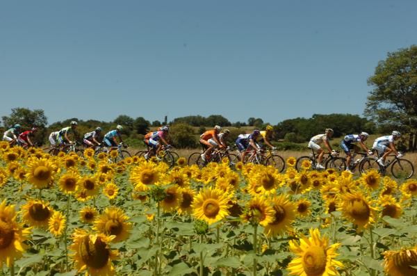 Andy Schleck safely ensconced in the peloton