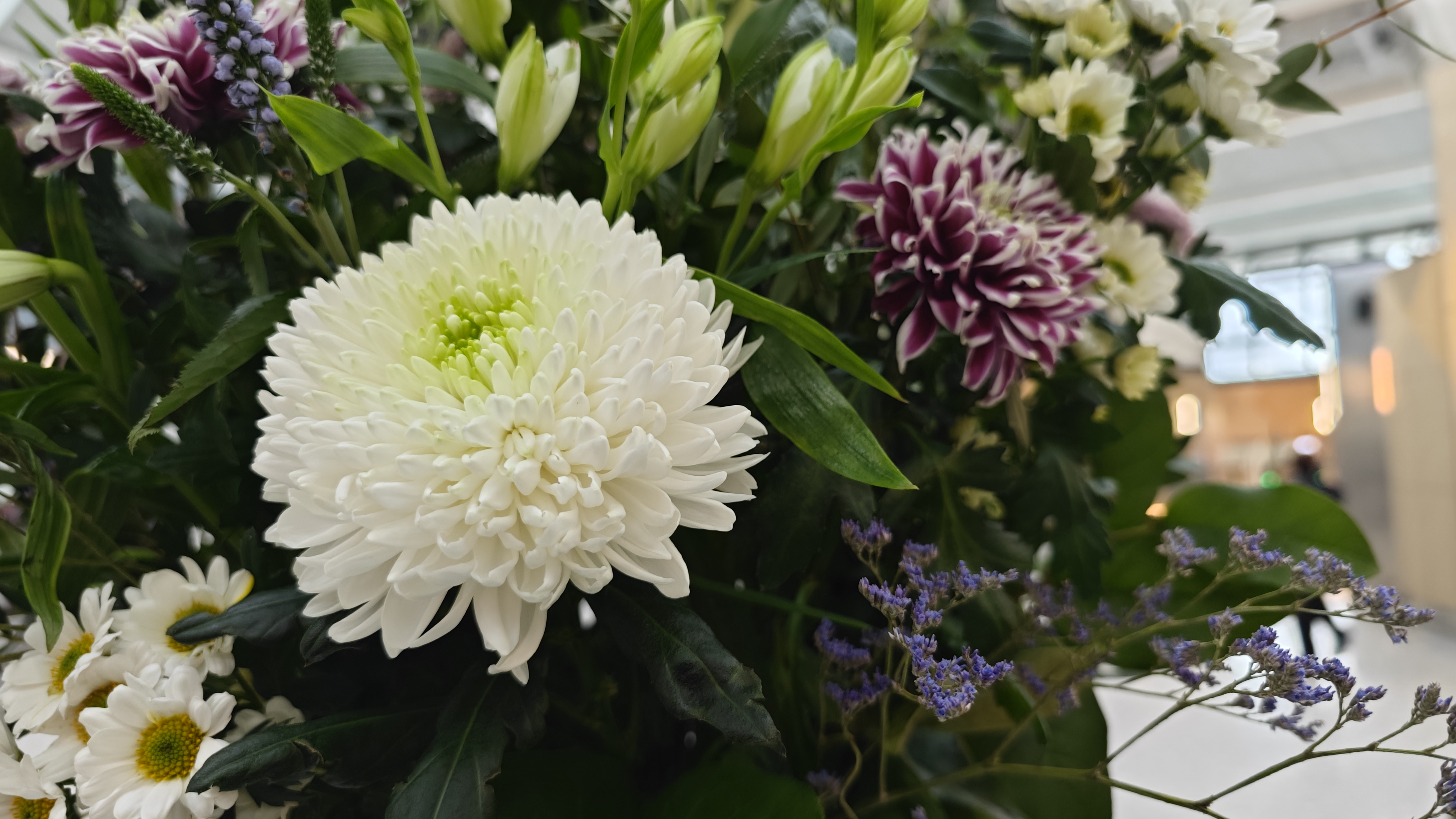 Xiaomi 13 Pro review camera samples