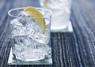 A close up of a glass of soda water with a slice of lemon