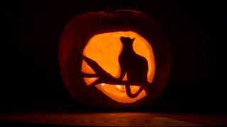 Cat pumpkin carving