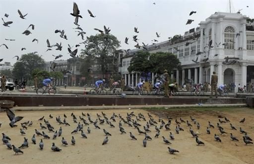 Cyclists ride past flying pigeons in a section of Connaught Place in New Delhi on August 29.