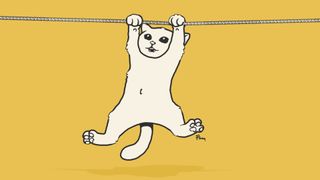 White cat hanging on a clothesline on a yellow background.