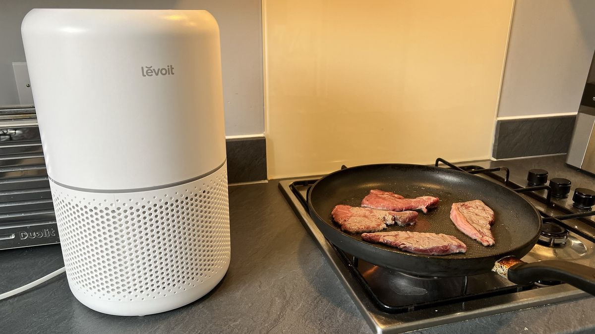 Levoit Core 300S next to steak cooking