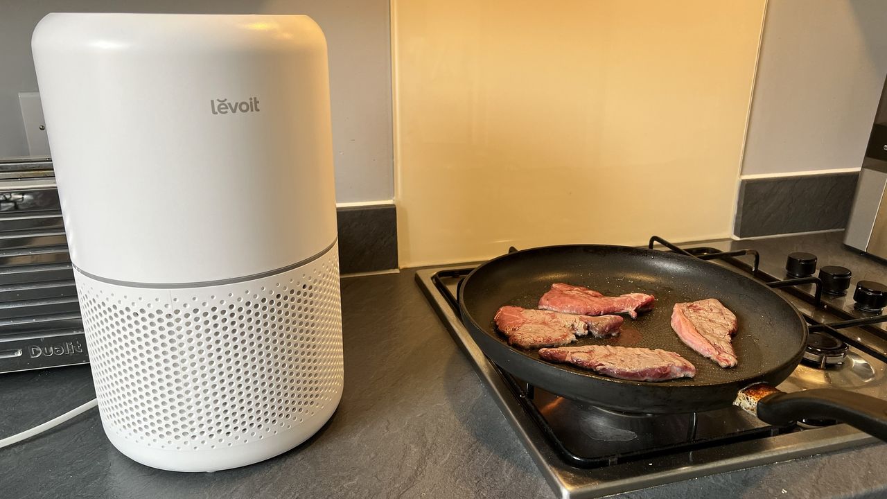 Levoit Core 300S next to steak cooking