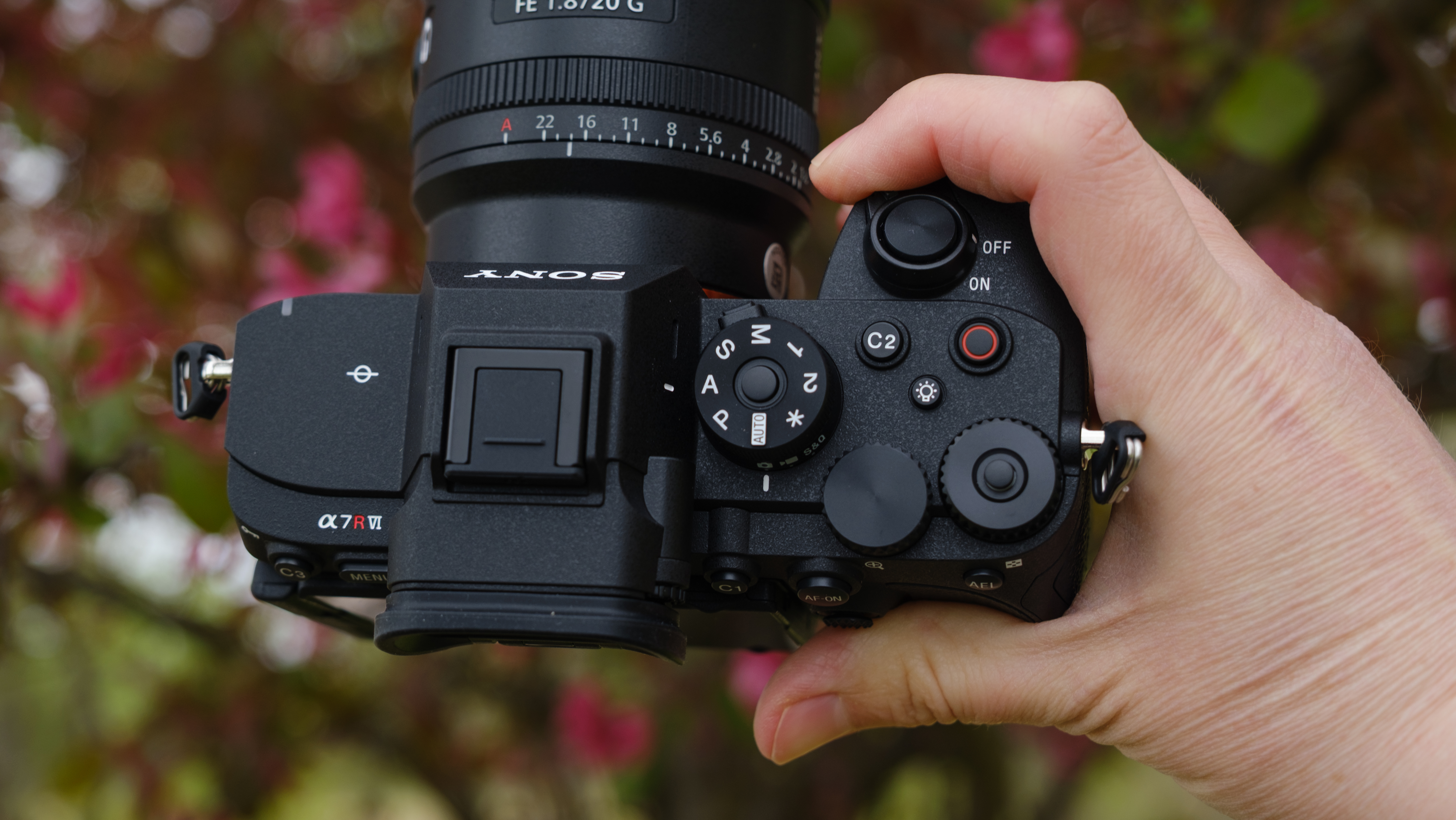 The Sony A7R VI photographed outdoors