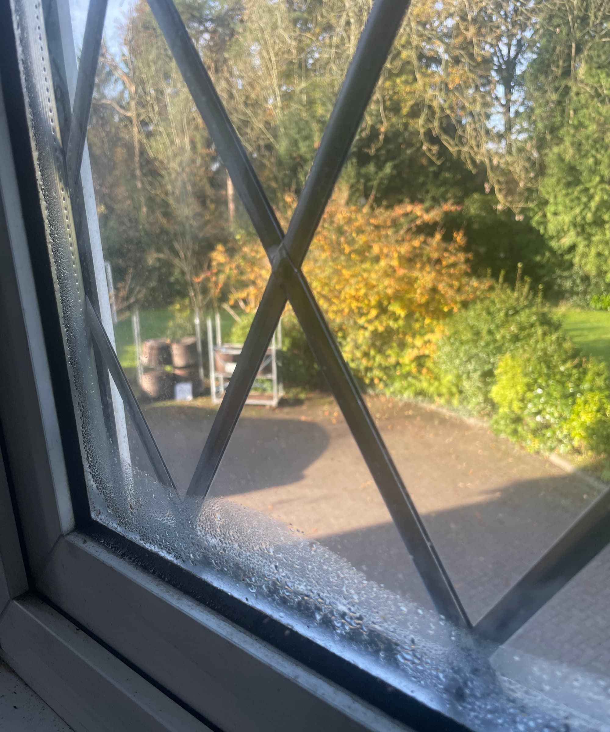 A small amount of condensation on a window