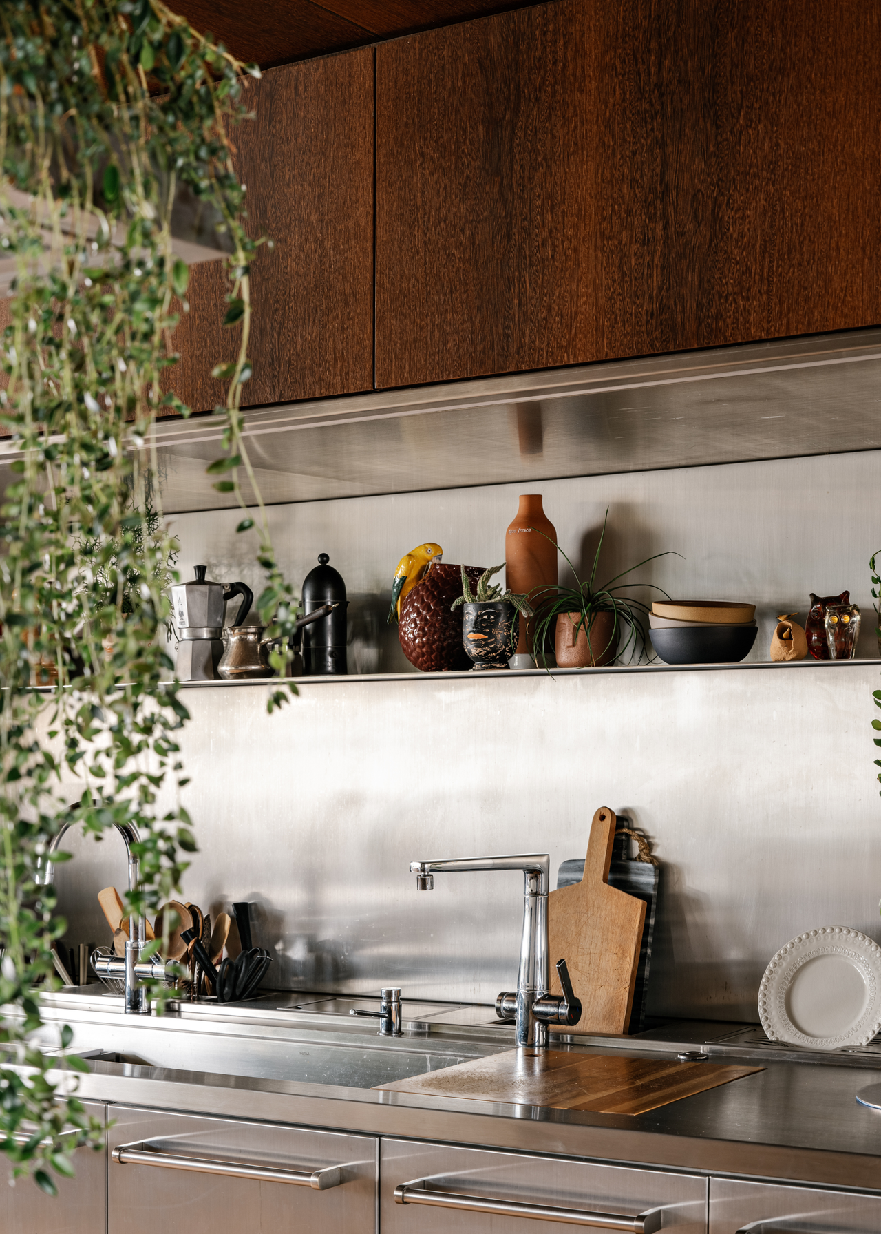 A kitchen with a chrome set-up and some trailing vines