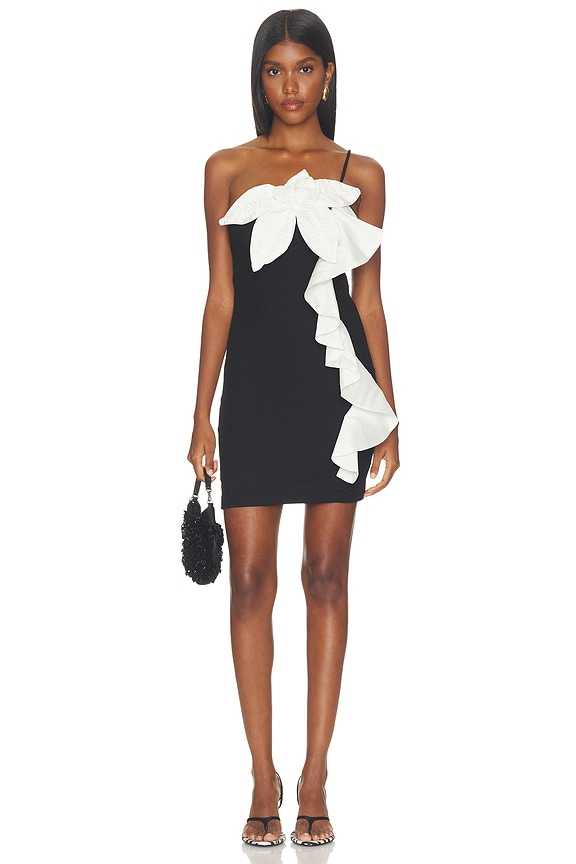 Taffeta Tarsila Mini Dress