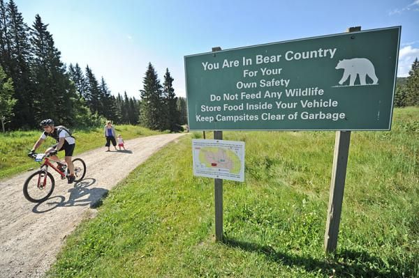 Watch out for bears!