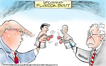Political cartoon U.S Florida governor race Trump Bernie Sanders Ron DeSantis Andrew Gillum puppets