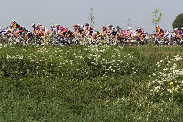 Springtime in Borsele