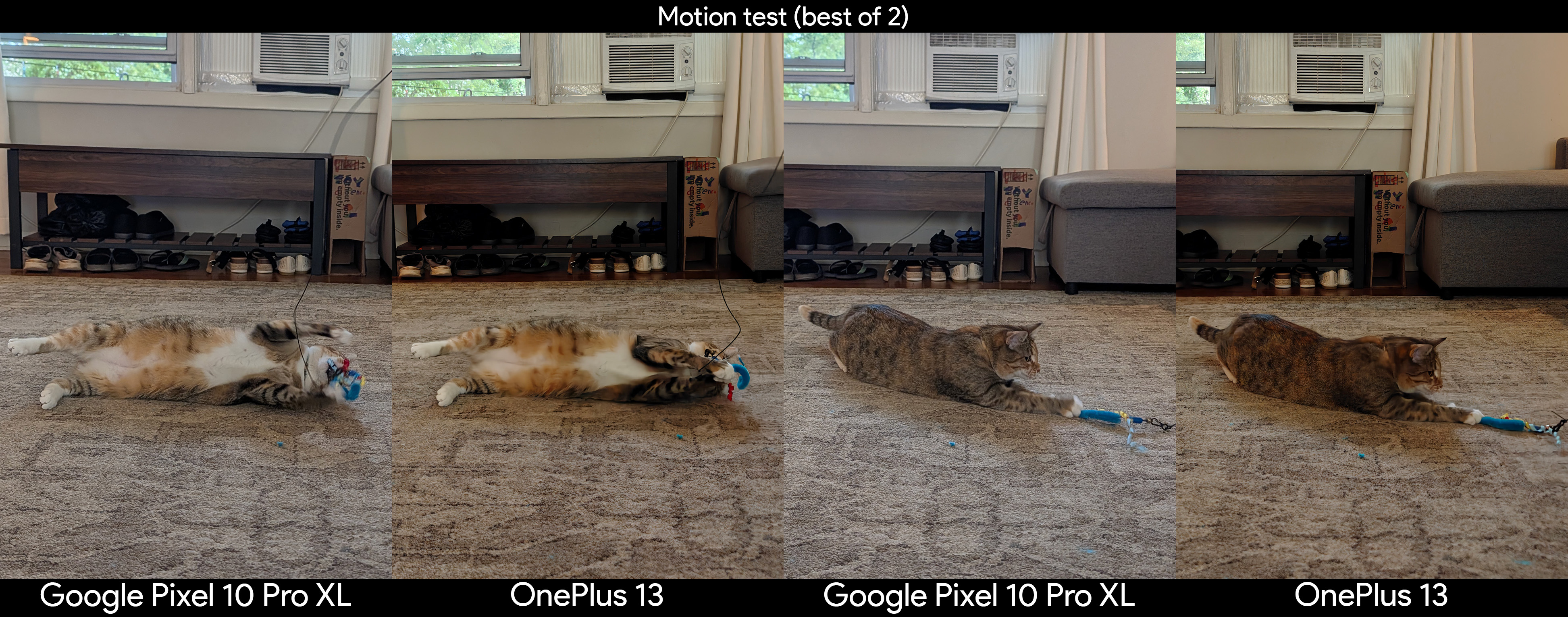 Comparing camera motion capture with photos of a cat, captured on a Google Pixel 10 Pro XL and a OnePlus 13