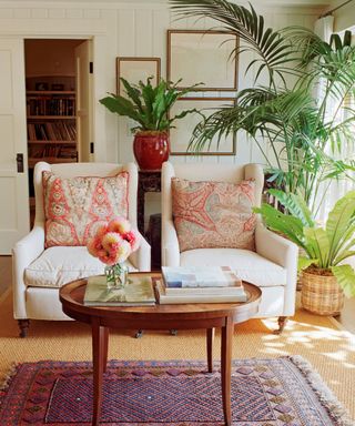 Houseplants in a living room with two armchairs