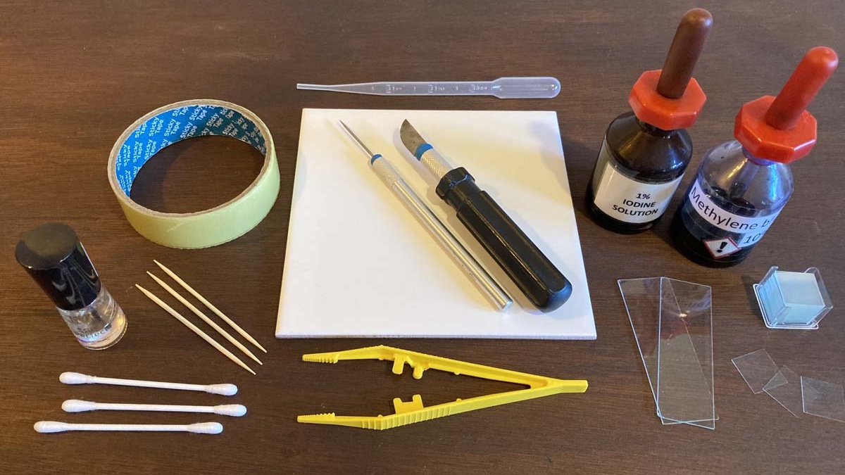 microscope slides