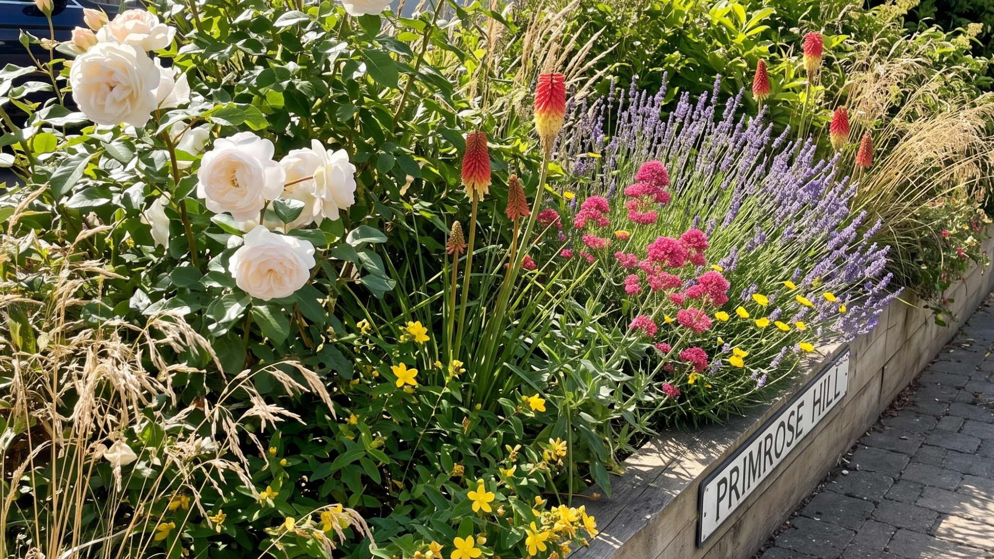 raised bed border planted with drought resistant plants