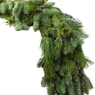 A long plain fir christmas garland