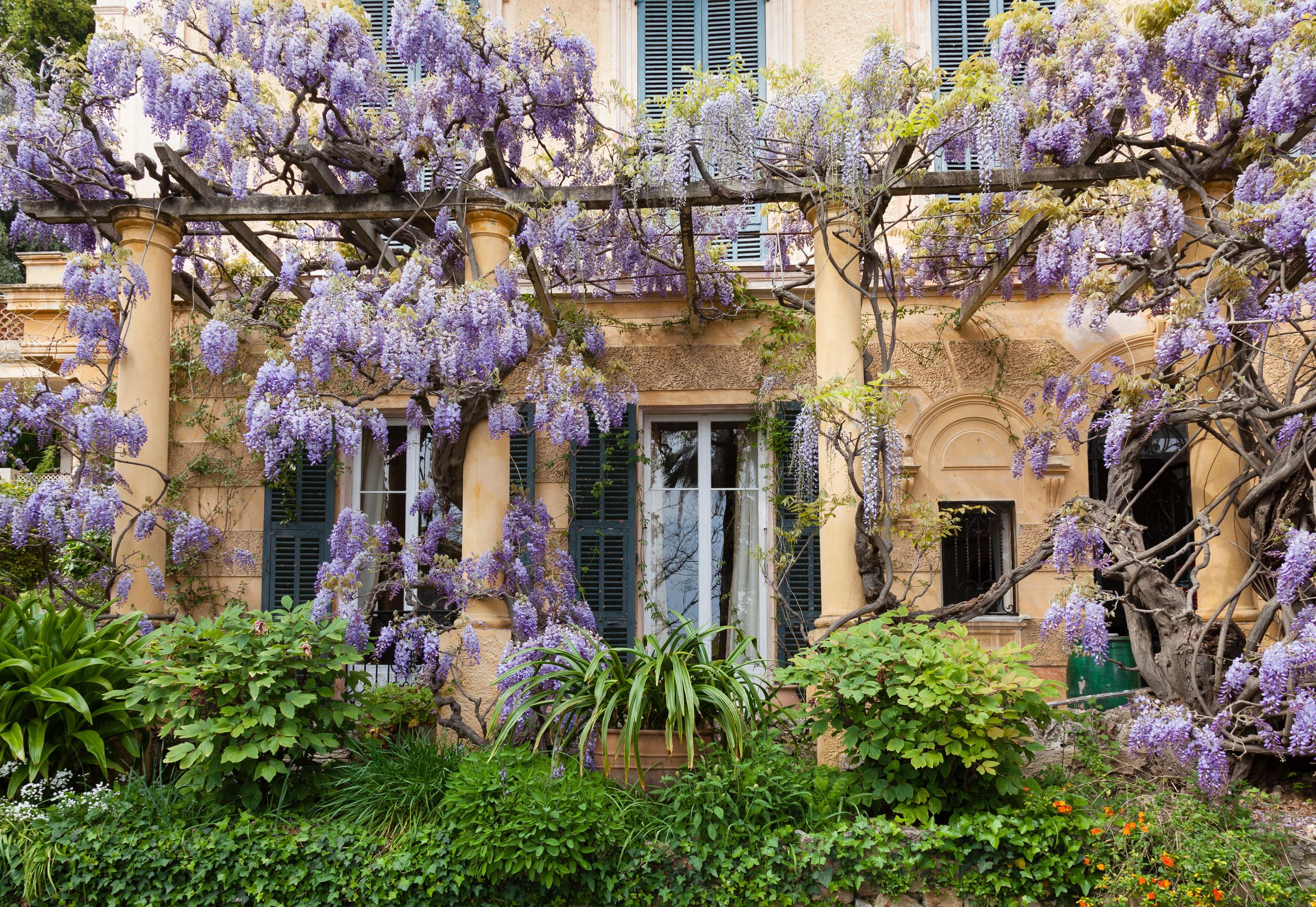 English country gardens once dotted the French Riviera. Now the last of them is about to slip away forever