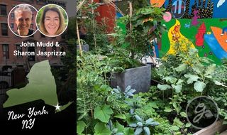 A raised bed garden next to a cutout of the state of New York