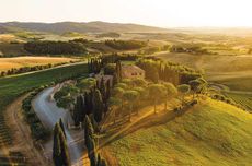 Brunello drink cellar invest