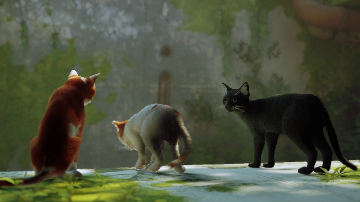 The 5 Reasons Stray Is Going to Be One of the Best Cat Games Ever